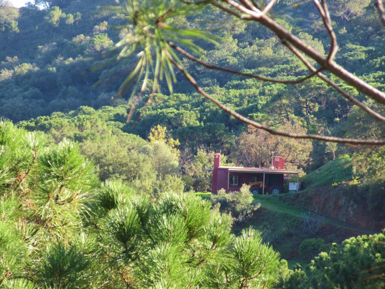 5 bedroom Villa for sale in Estepona with pool - € 2,950,000 (Ref: 7558507)