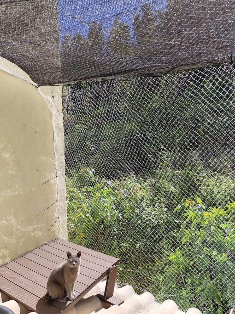 3 slaapkamer Huis te koop in Casares - € 264.000 (Ref: 9076524)