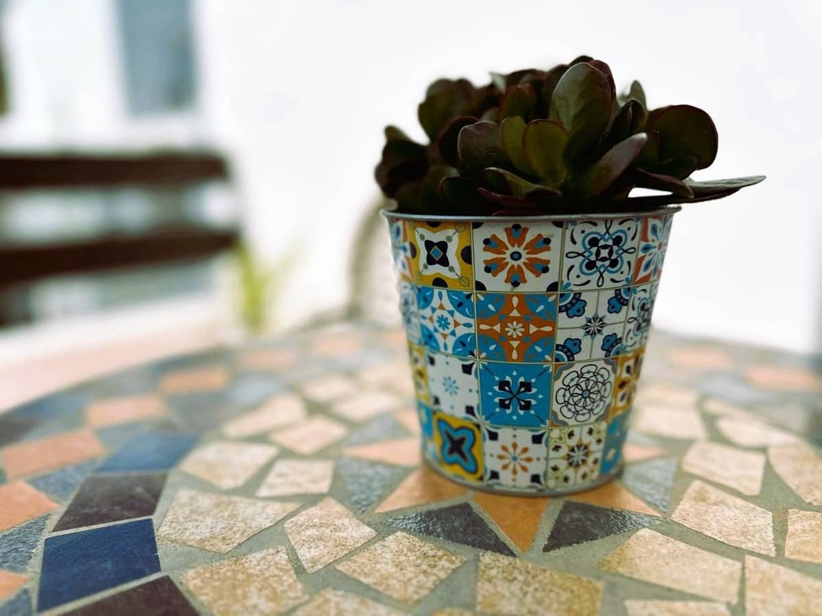 2 bedroom Apartment for sale in Estepona - € 244,000 (Ref: 9080865)