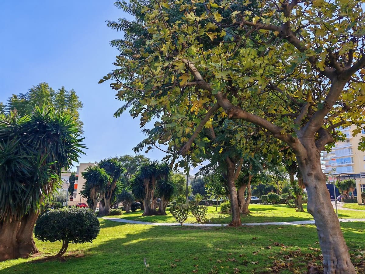 1 soverom Leilighet til salgs i Torremolinos - € 230 000 (Ref: 9080872)