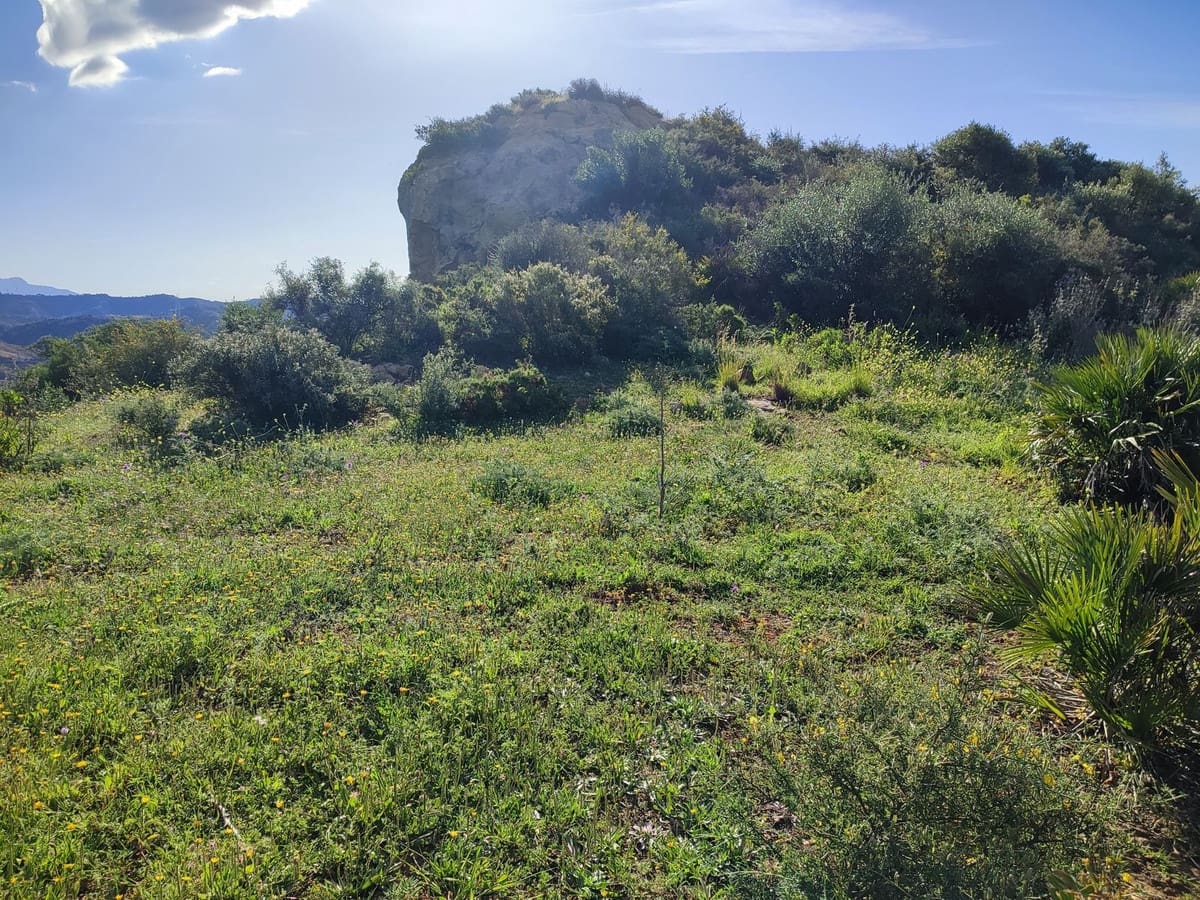 Byggetomt til salgs i Estepona - € 175 000 (Ref: 9080893)