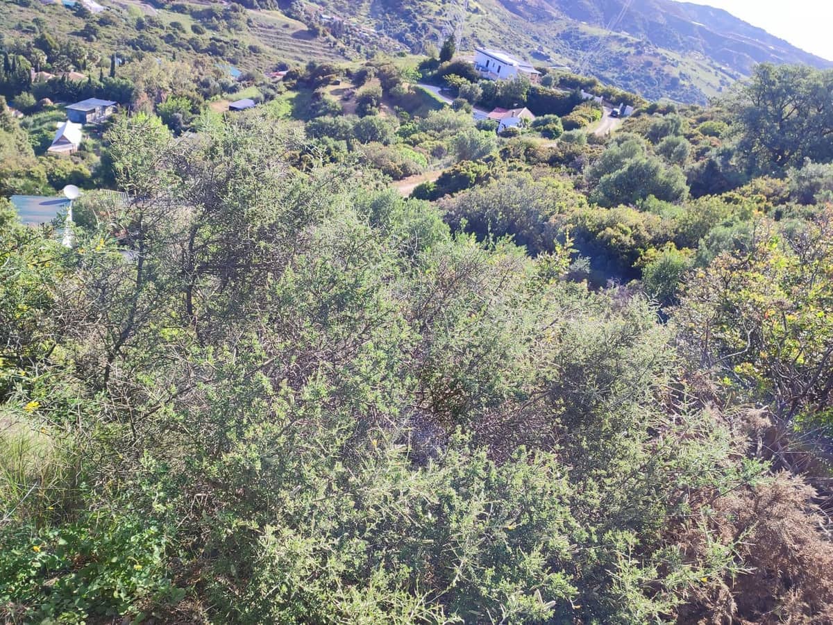 Byggetomt til salgs i Estepona - € 175 000 (Ref: 9080893)