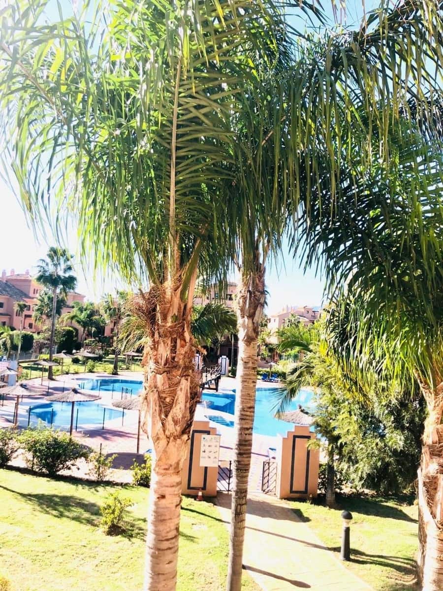 3 bedroom Apartment for sale in Estepona with garage - € 595,000 (Ref: 9314637)