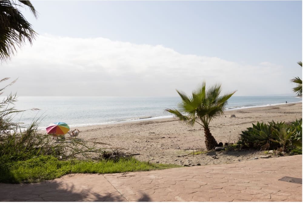 8 sovrum Villa till salu i New Golden Mile med pool - 6 600 000 € (Ref: 9805064)