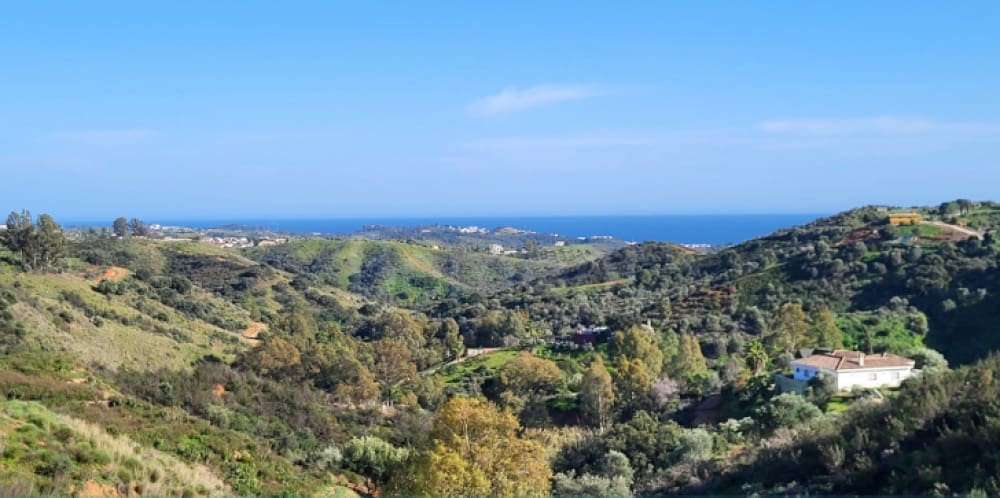 5 chambre Villa/Maison à vendre à Mijas avec piscine - 4 950 000 € (Ref: 9805092)