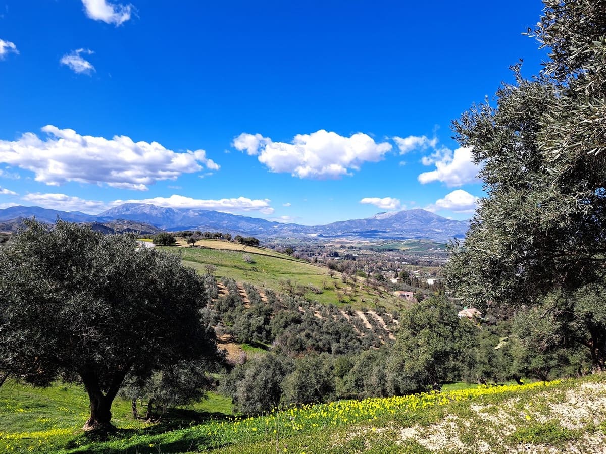 Grunde uden byggetilladelser til salg i Coin - € 140.000 (Ref: 7419508)