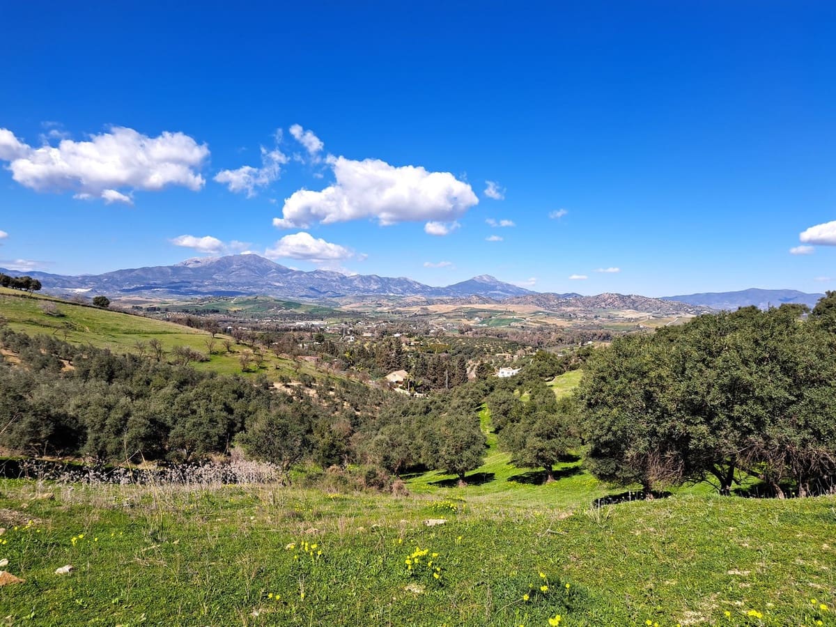 Ubebygd land til salgs i Coin - € 140 000 (Ref: 7419508)