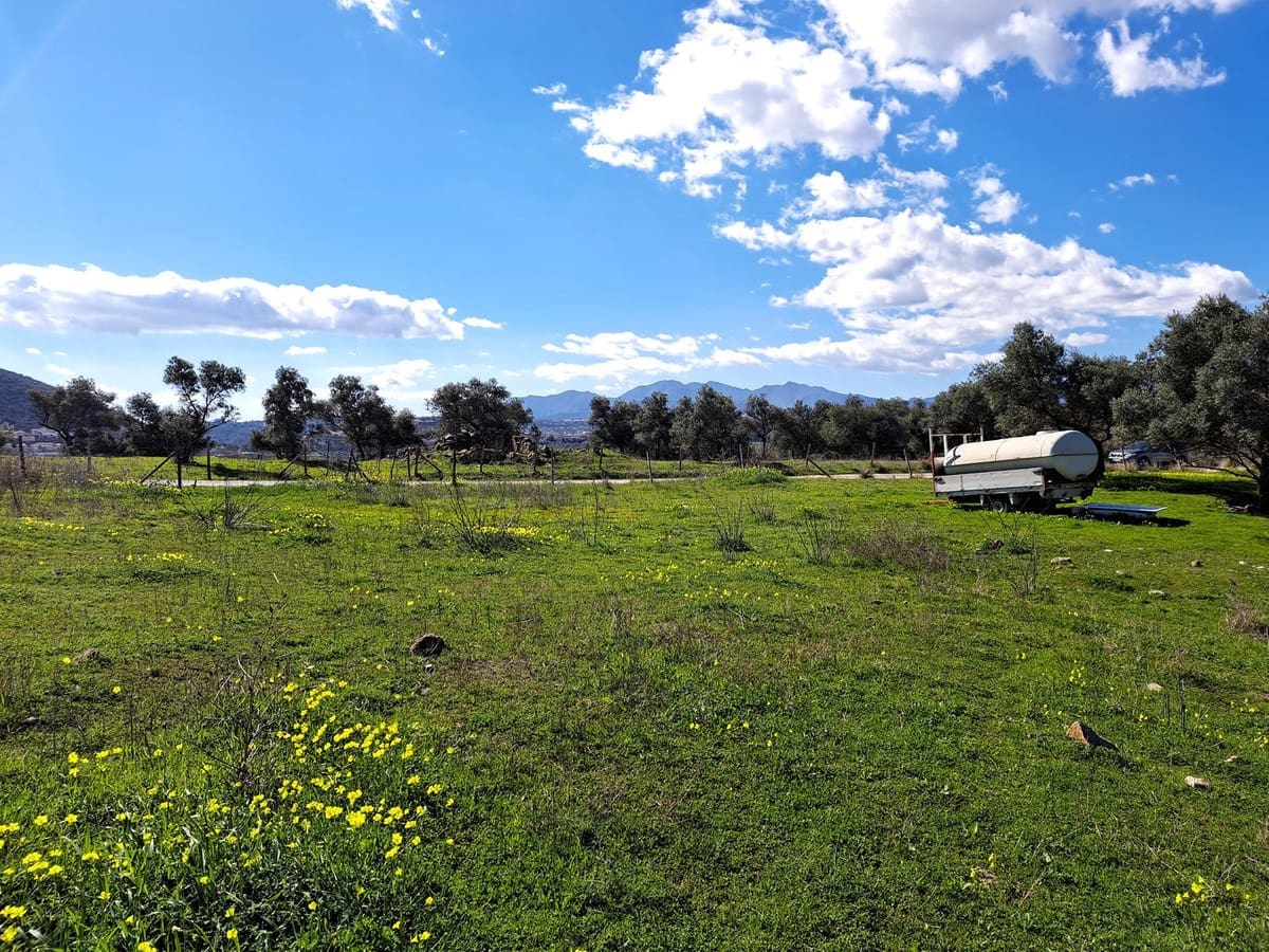 Ubebygd land til salgs i Coin - € 140 000 (Ref: 7419508)