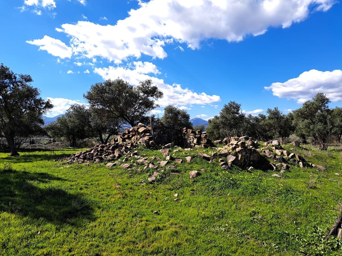 Ubebygd land til salgs i Coin - € 140 000 (Ref: 7419508)