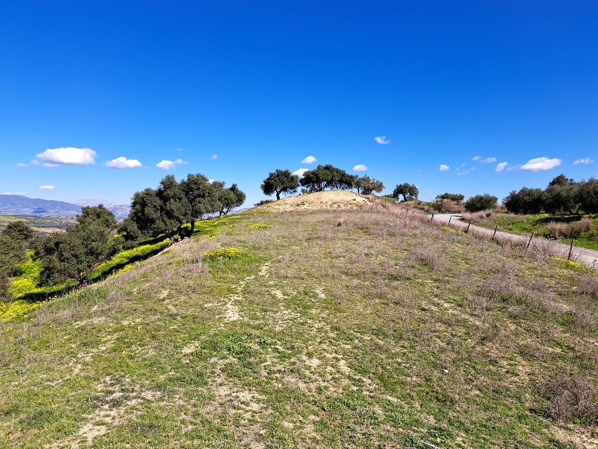 Ubebygd land til salgs i Coin - € 140 000 (Ref: 7419508)