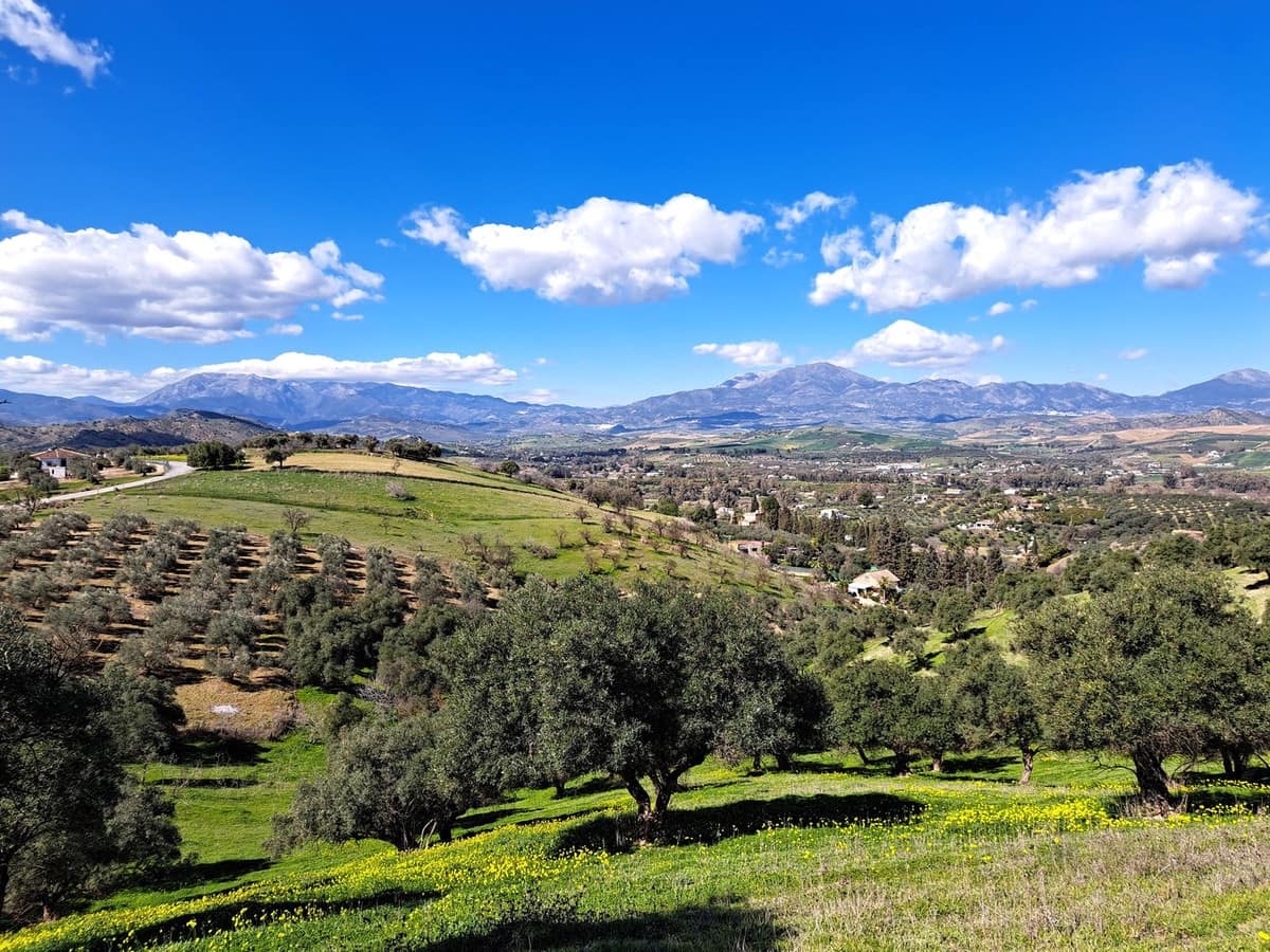 Ubebygd land til salgs i Coin - € 140 000 (Ref: 7419508)