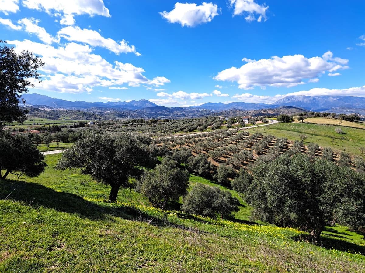 Ubebygd land til salgs i Coin - € 140 000 (Ref: 7419508)