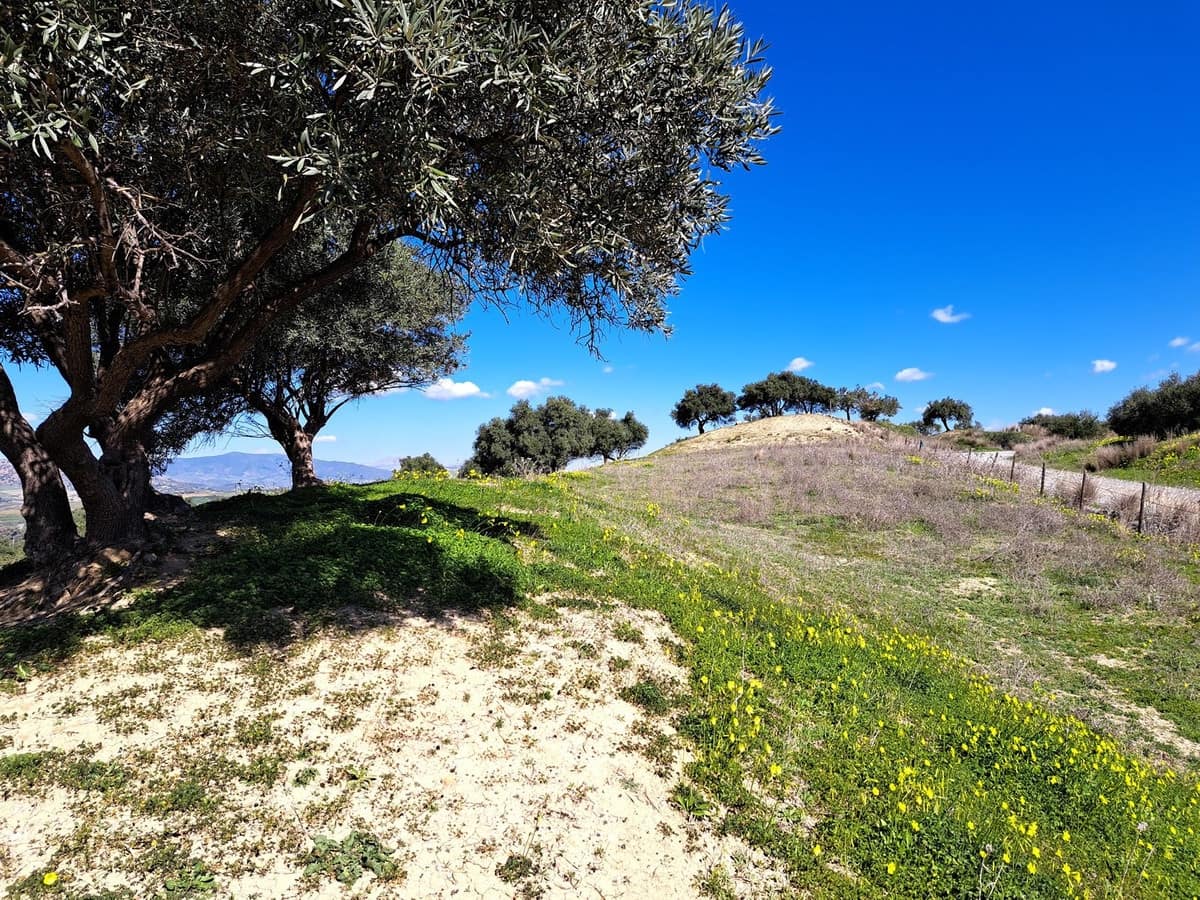 Ubebygd land til salgs i Coin - € 140 000 (Ref: 7419508)