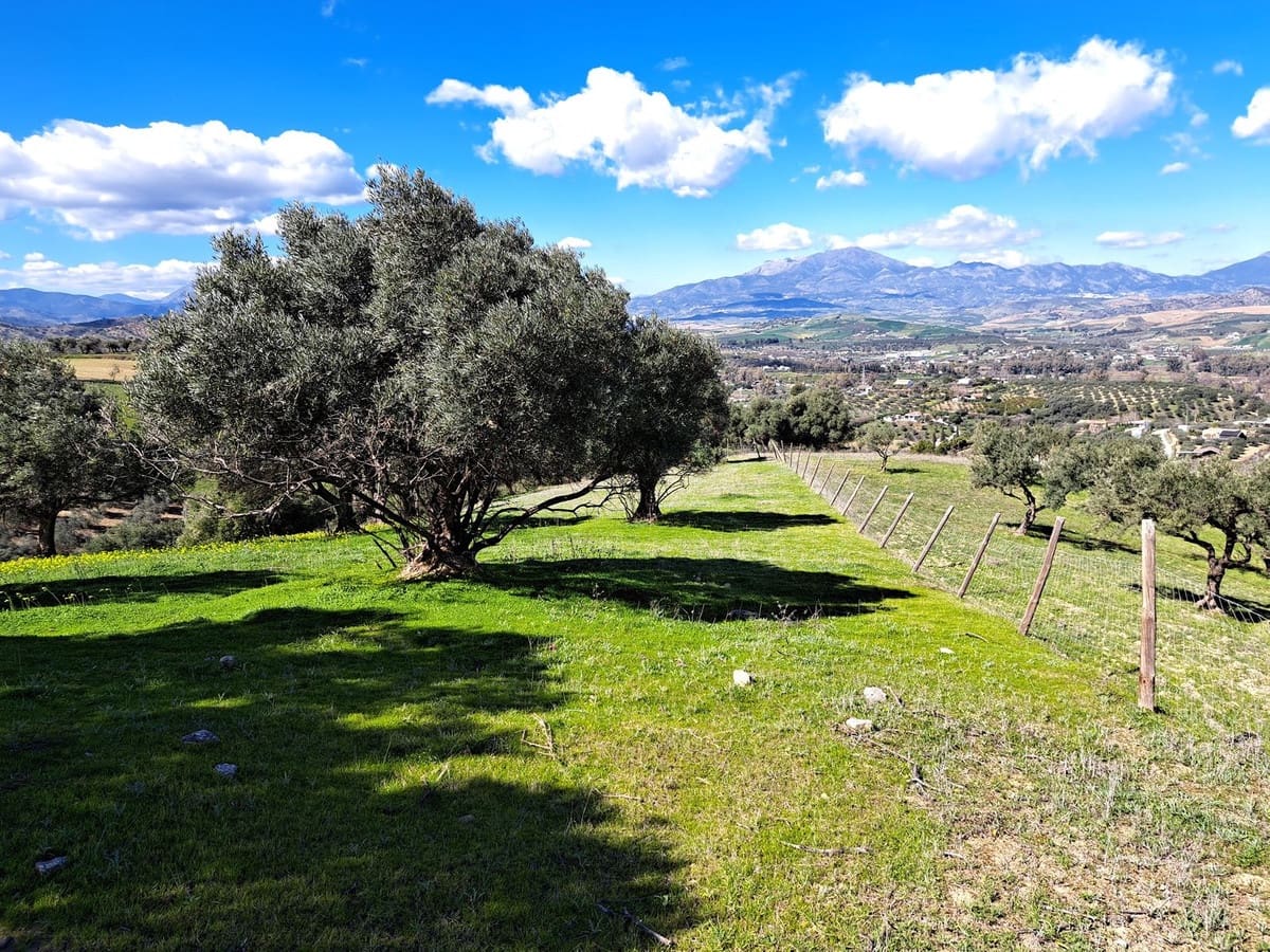 Ubebygd land til salgs i Coin - € 140 000 (Ref: 7419508)