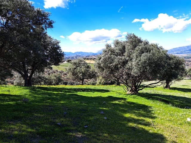 Grond te koop in Coín - € 140.000 (Ref: 7419508)