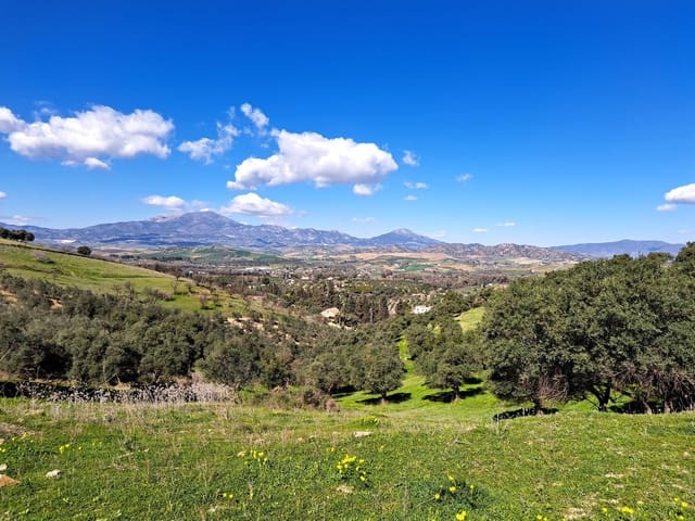 Grond te koop in Coín - € 140.000 (Ref: 7419508)