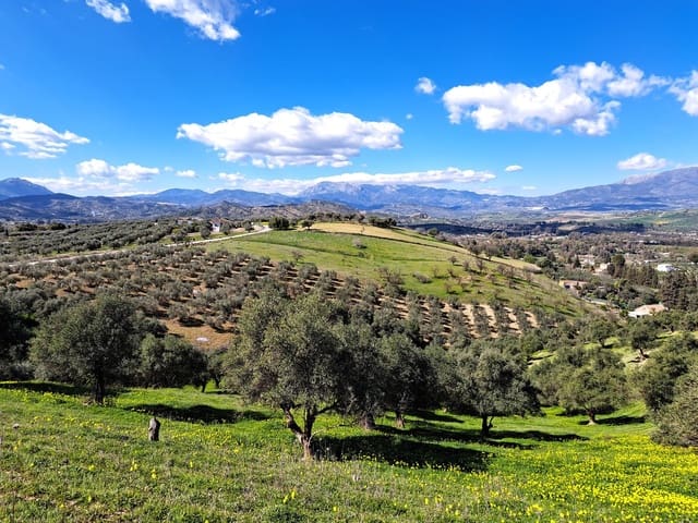 Grond te koop in Coín - € 140.000 (Ref: 7419508)