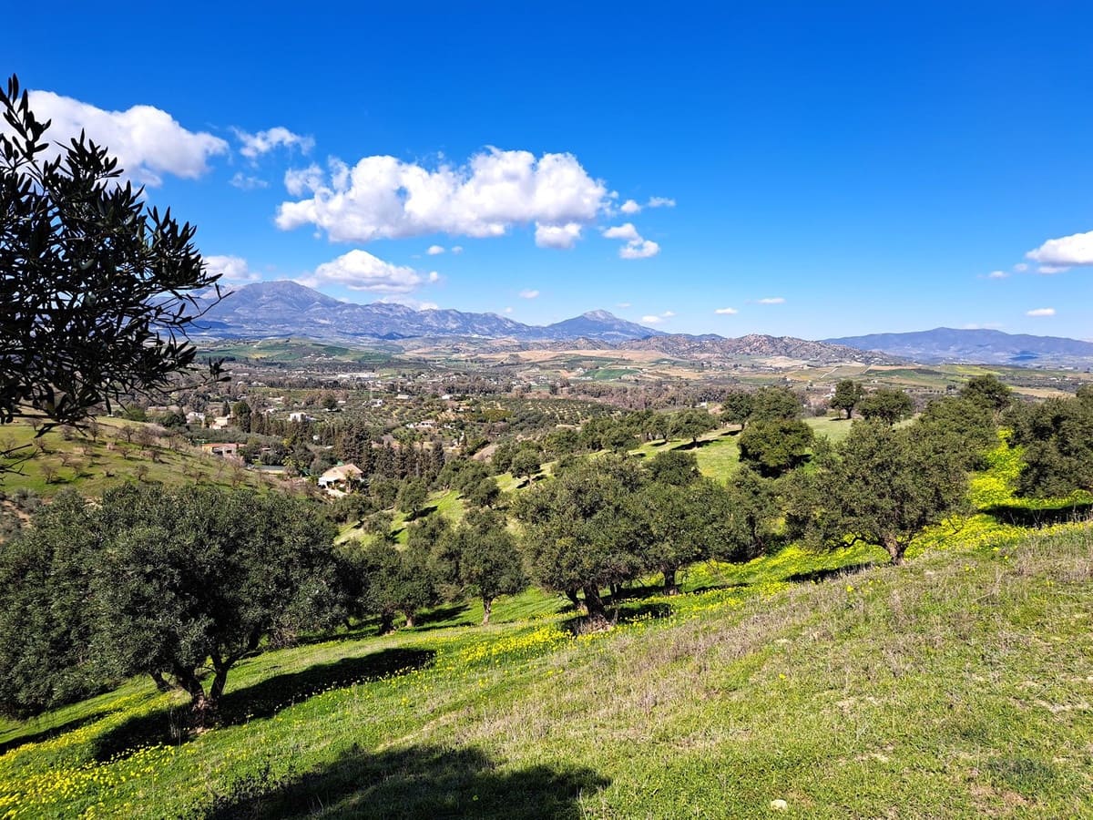 Rakentamaton maa myytävänä paikassa Coin - 140 000 € (Ref: 7419508)