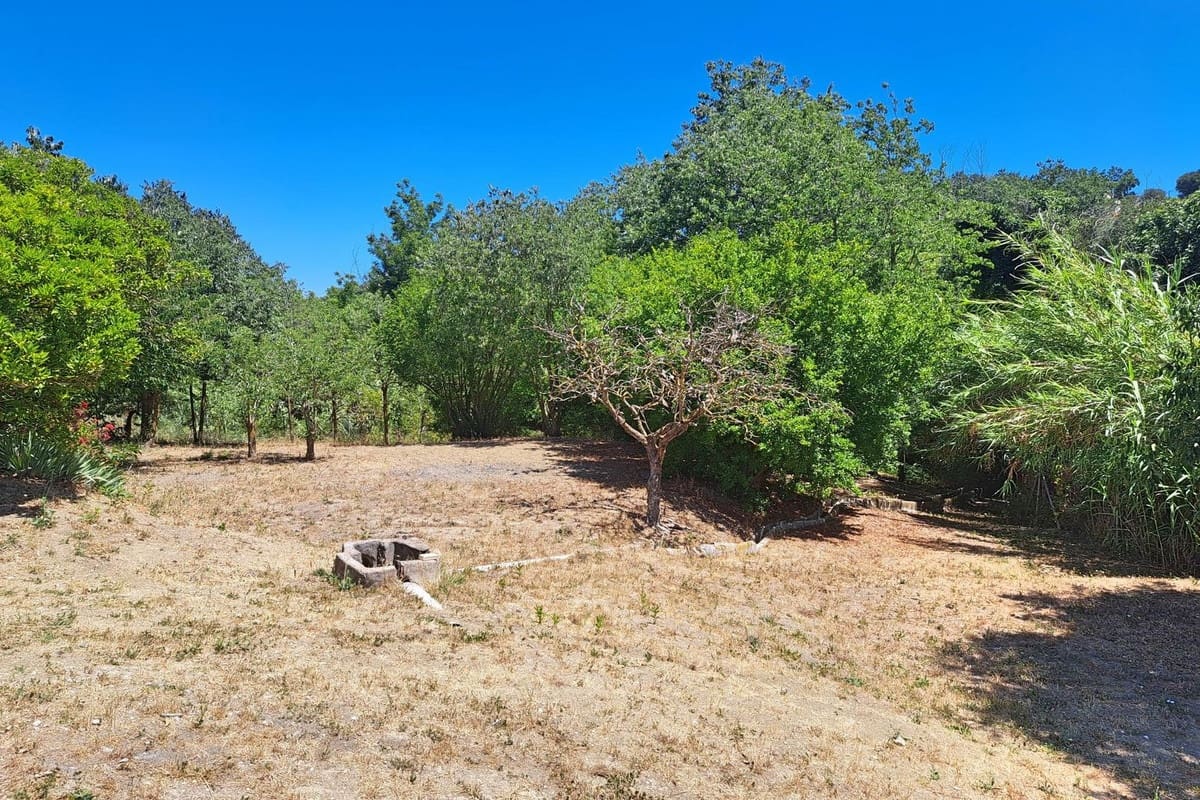 5 soveværelse Villa til salg i Coin med swimmingpool garage - € 615.000 (Ref: 8374536)