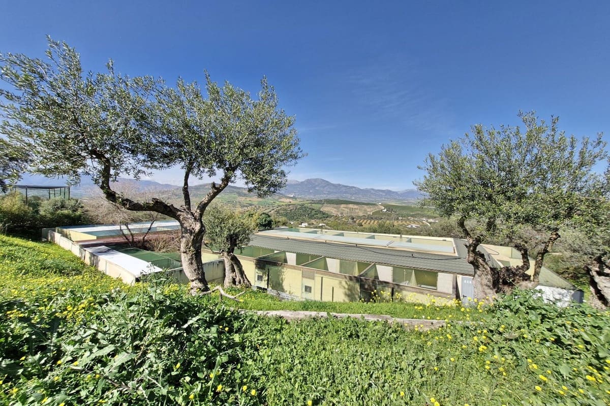 3 soveværelse Finca/Landehus til salg i Coin med swimmingpool garage - € 465.000 (Ref: 8816857)