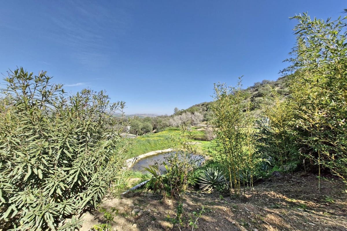 3 makuuhuone Maalaistalo myytävänä paikassa Coin mukana uima-altaan 
autotalli - 465 000 € (Ref: 8816857)