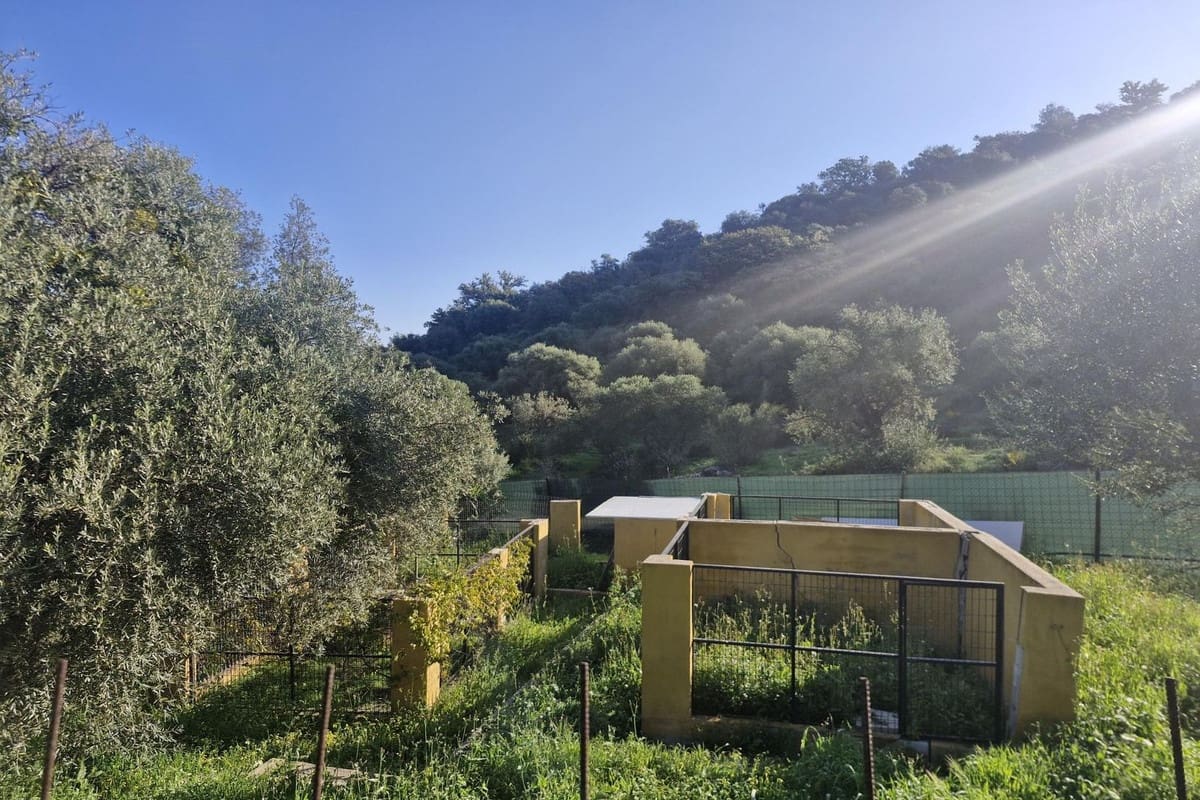 3 slaapkamer Finca/Landhuis te koop in Coin met zwembad garage - € 465.000 (Ref: 8816857)