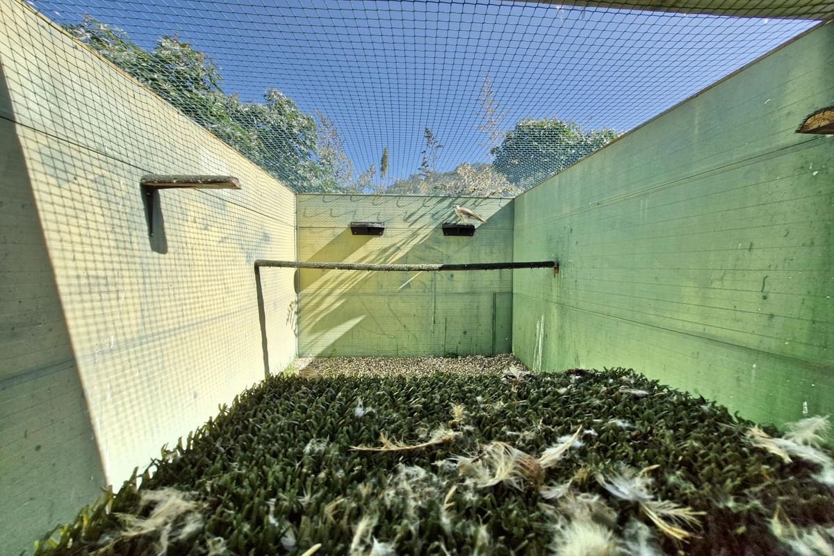 3 chambre Finca/Maison de Campagne à vendre à Coin avec piscine garage - 465 000 € (Ref: 8816857)