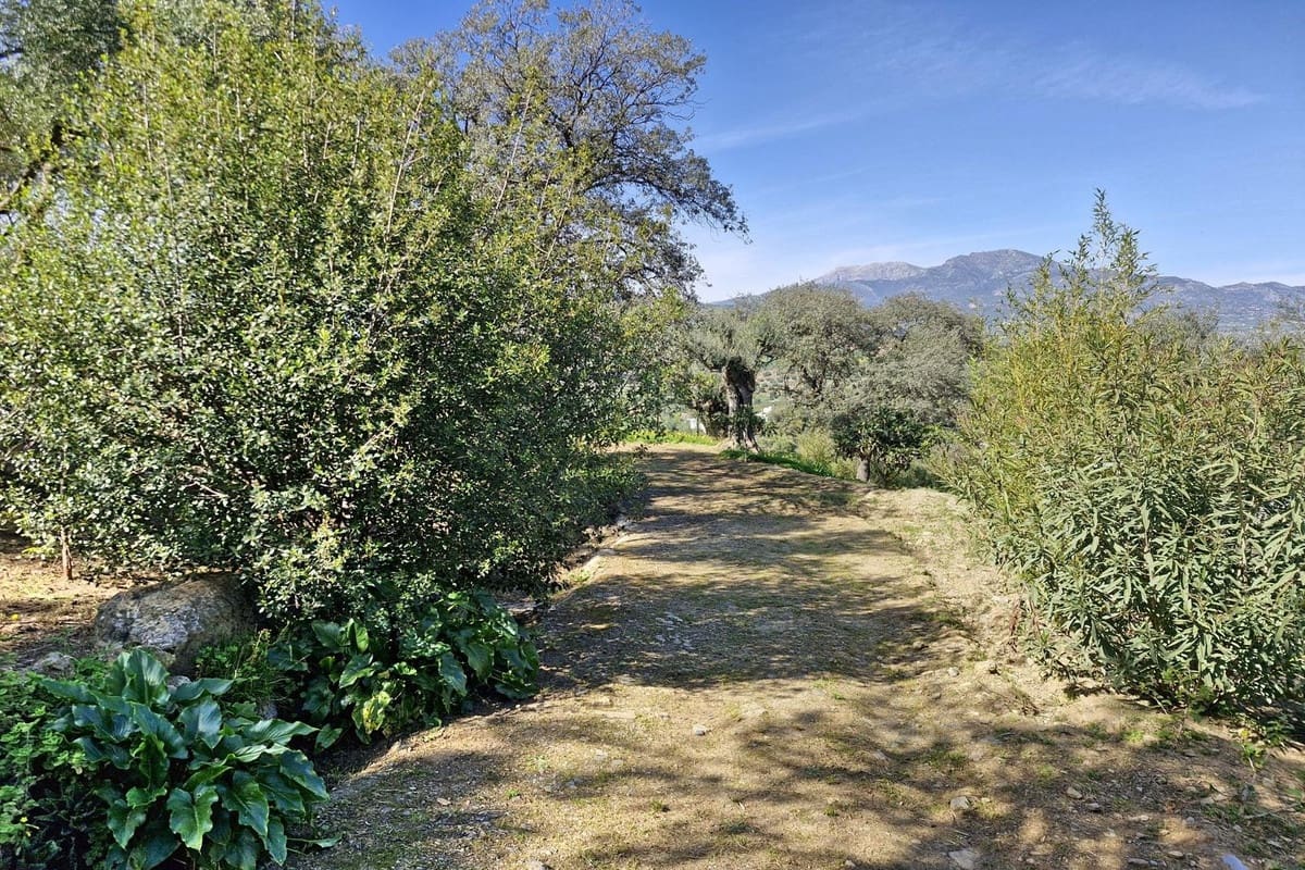 3 chambre Finca/Maison de Campagne à vendre à Coin avec piscine garage - 465 000 € (Ref: 8816857)