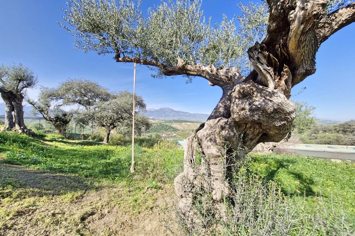 3 chambre Finca/Maison de Campagne à vendre à Coin avec piscine garage - 465 000 € (Ref: 8816857)