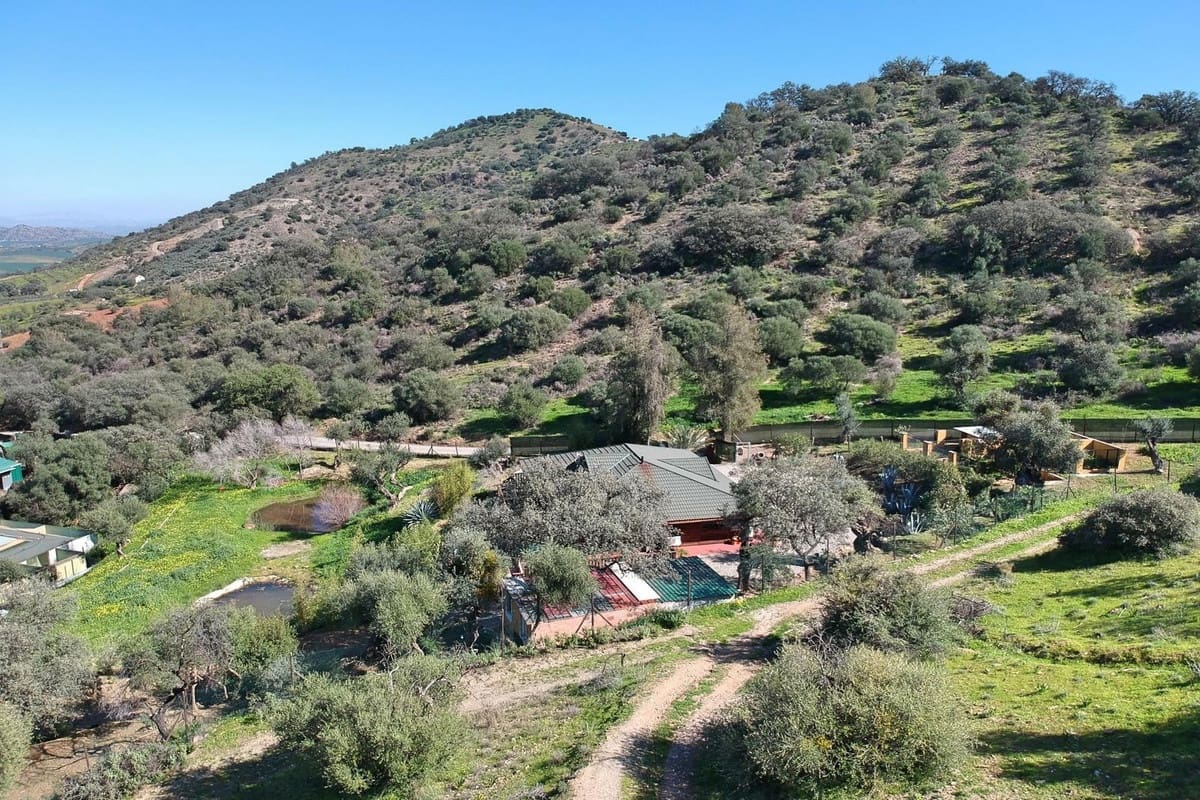 3 chambre Finca/Maison de Campagne à vendre à Coin avec piscine garage - 465 000 € (Ref: 8816857)