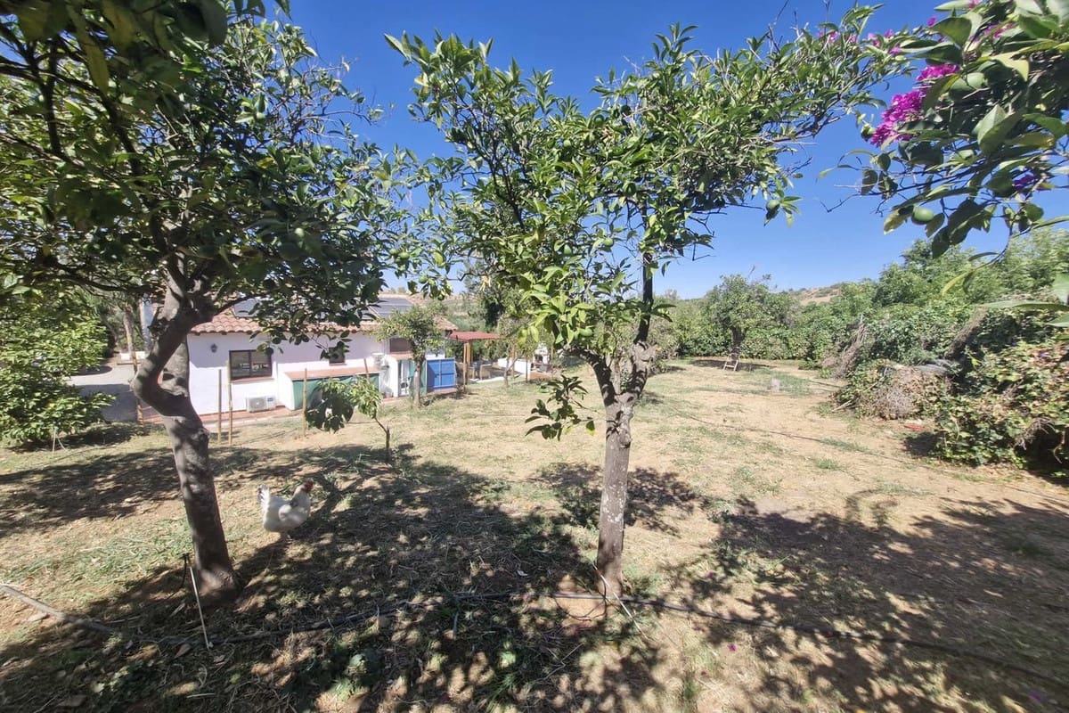 Finca/Casa Rural de 3 habitaciones en Coín en venta con piscina garaje - 440.000 € (Ref: 9193345)