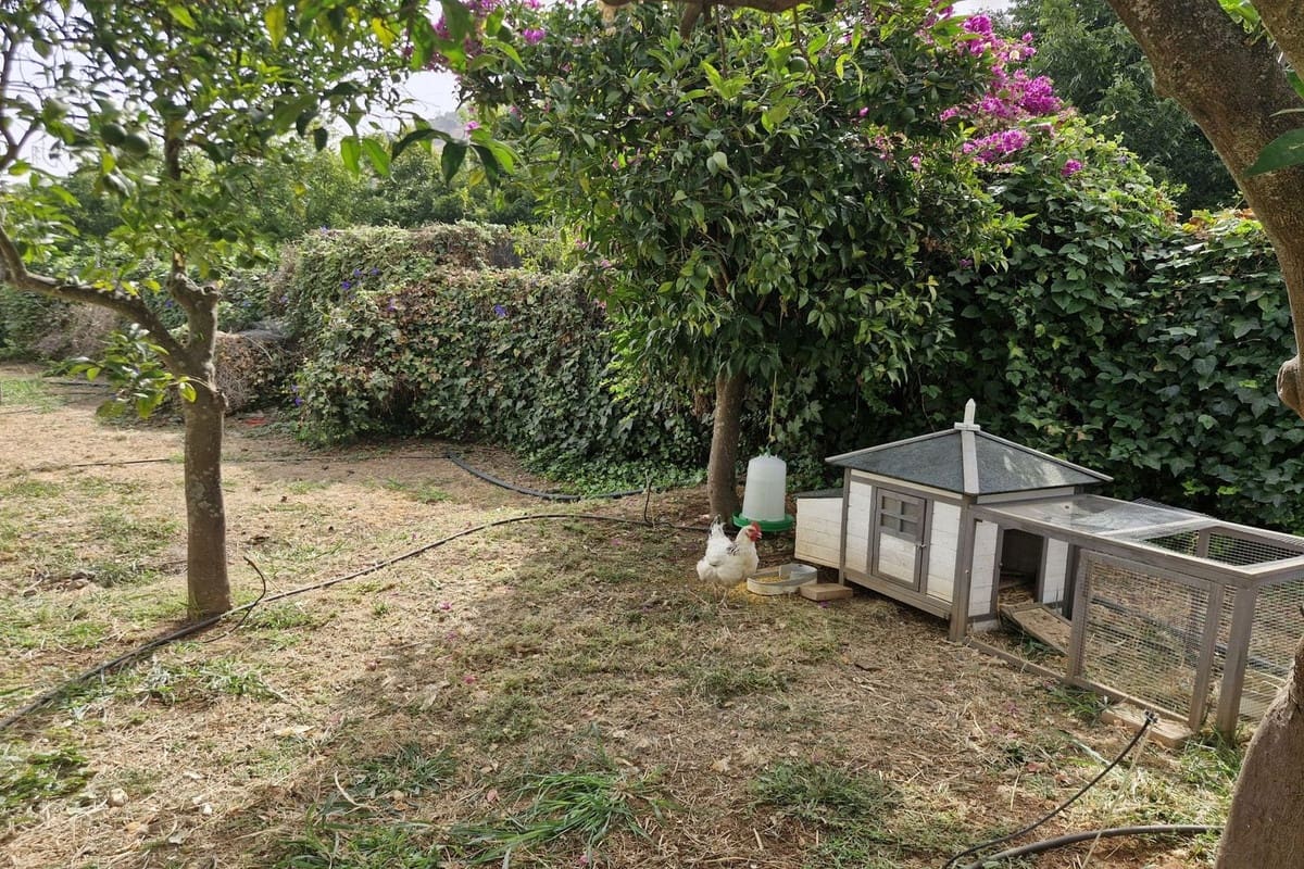 Finca/Casa Rural de 3 habitaciones en Coín en venta con piscina garaje - 440.000 € (Ref: 9193345)