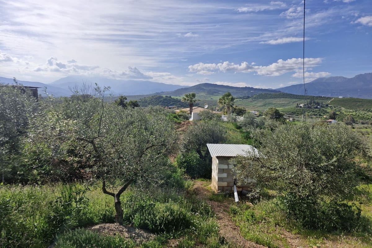 3 chambre Finca/Maison de Campagne à vendre à Coin avec piscine garage - 480 000 € (Ref: 9709210)