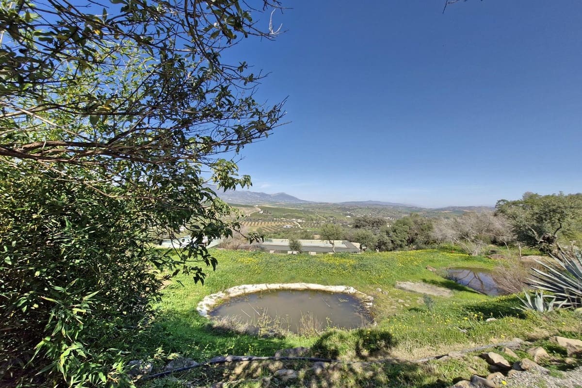 3 bedroom Commercial for sale in Coin with pool garage - € 795,000 (Ref: 9737337)