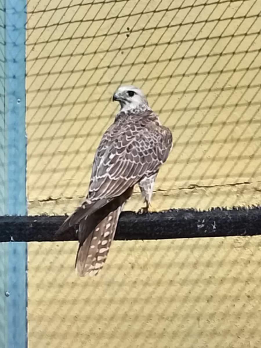 3 bedroom Commercial for sale in Coin with pool garage - € 795,000 (Ref: 9737337)