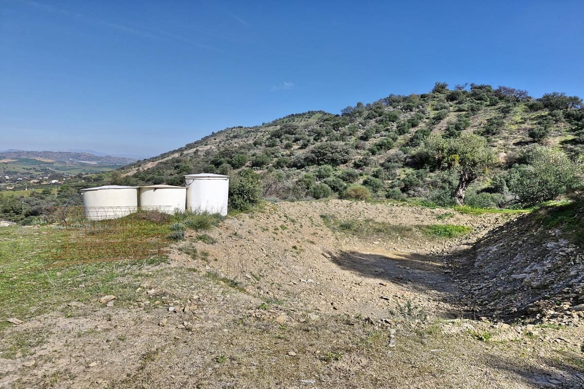 3 bedroom Commercial for sale in Coin with pool garage - € 795,000 (Ref: 9737337)