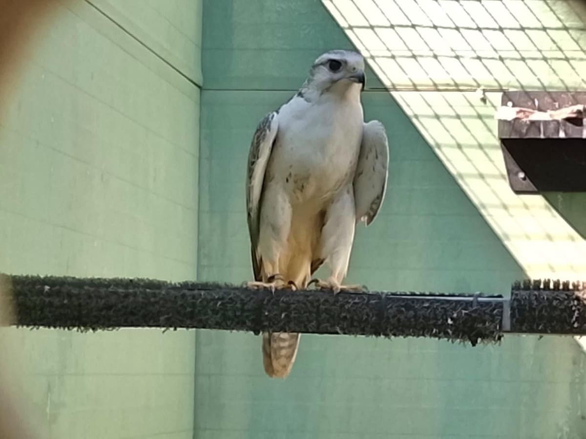 3 bedroom Commercial for sale in Coin with pool garage - € 795,000 (Ref: 9737337)