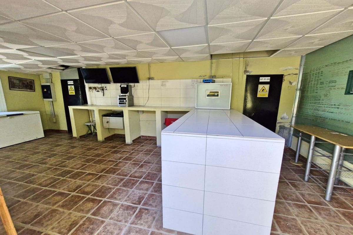 3 slaapkamer Commercieel te koop in Coin met zwembad garage - € 795.000 (Ref: 9737337)