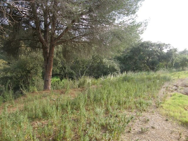 Tontti myytävänä paikassa Hacienda Las Chapas, Marbella - 1 150 000 € (Ref: 3714041)