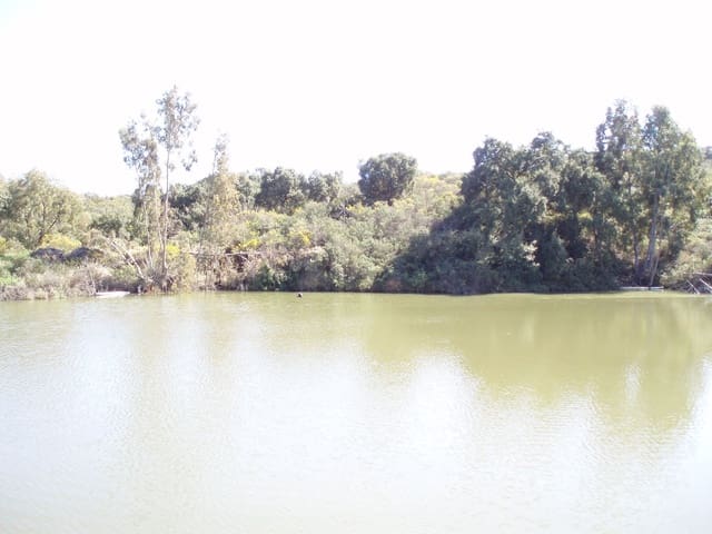 Undeveloped Land for sale in Mijas - € 7,500,000 (Ref: 8142200)