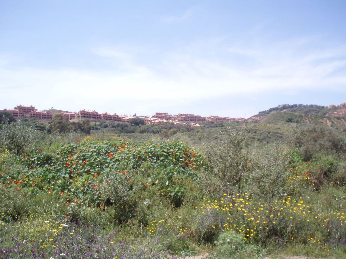 Ubebygd land til salgs i Mijas - € 7 500 000 (Ref: 8142200)