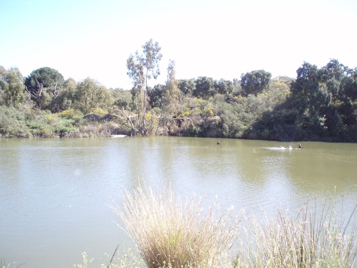 Terreno/Finca Rústica en Mijas en venta - 7.500.000 € (Ref: 8142200)