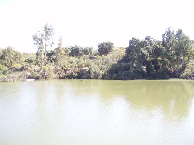 Terreno Non Edificato in vendita in Mijas - 7.500.000 € (Rif: 8142200)