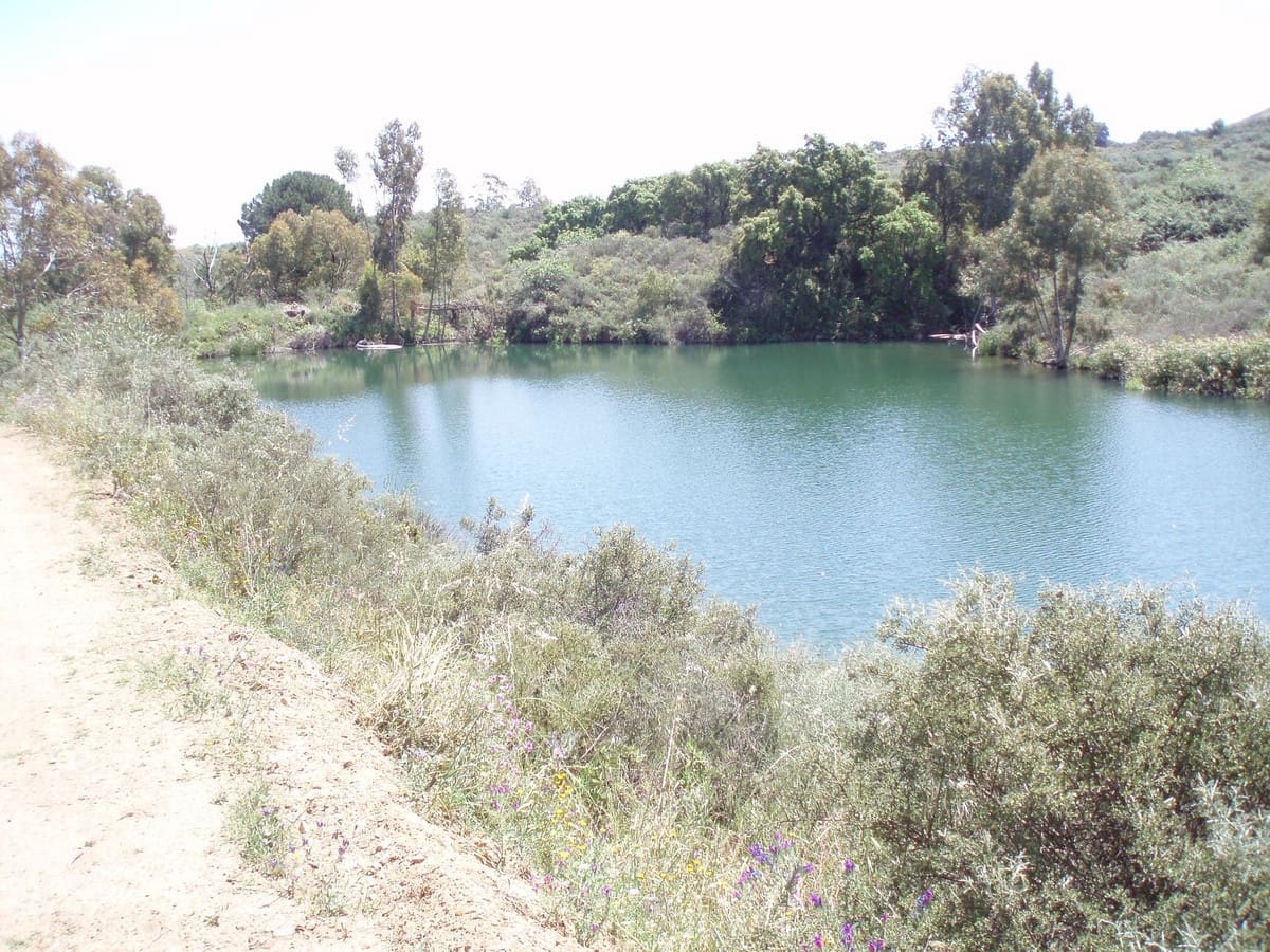 Terreno/Finca Rústica en Mijas en venta - 7.500.000 € (Ref: 8142200)