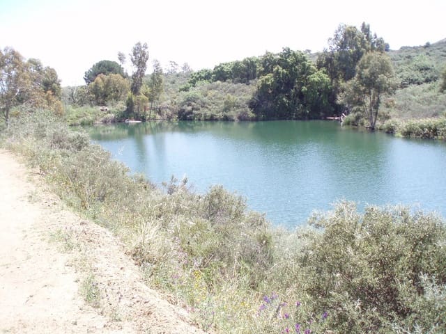 Ubebygd land til salgs i Mijas - € 7 500 000 (Ref: 8142200)