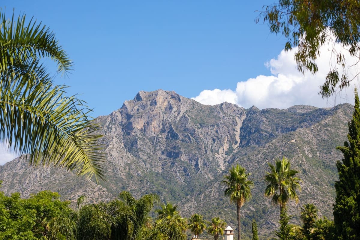 4 bedroom Villa for sale in Golden Mile with pool garage - € 4,500,000 (Ref: 8756812)