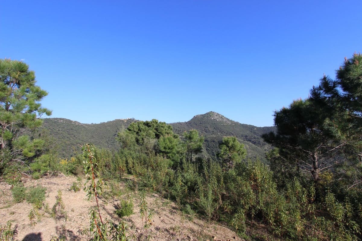Bouwgrond te koop in Benahavis - € 750.000 (Ref: 9684357)