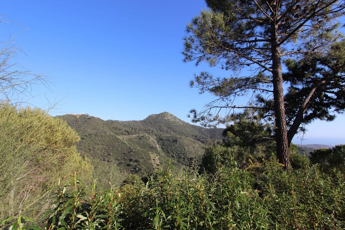 Bouwgrond te koop in Benahavis - € 750.000 (Ref: 9684357)