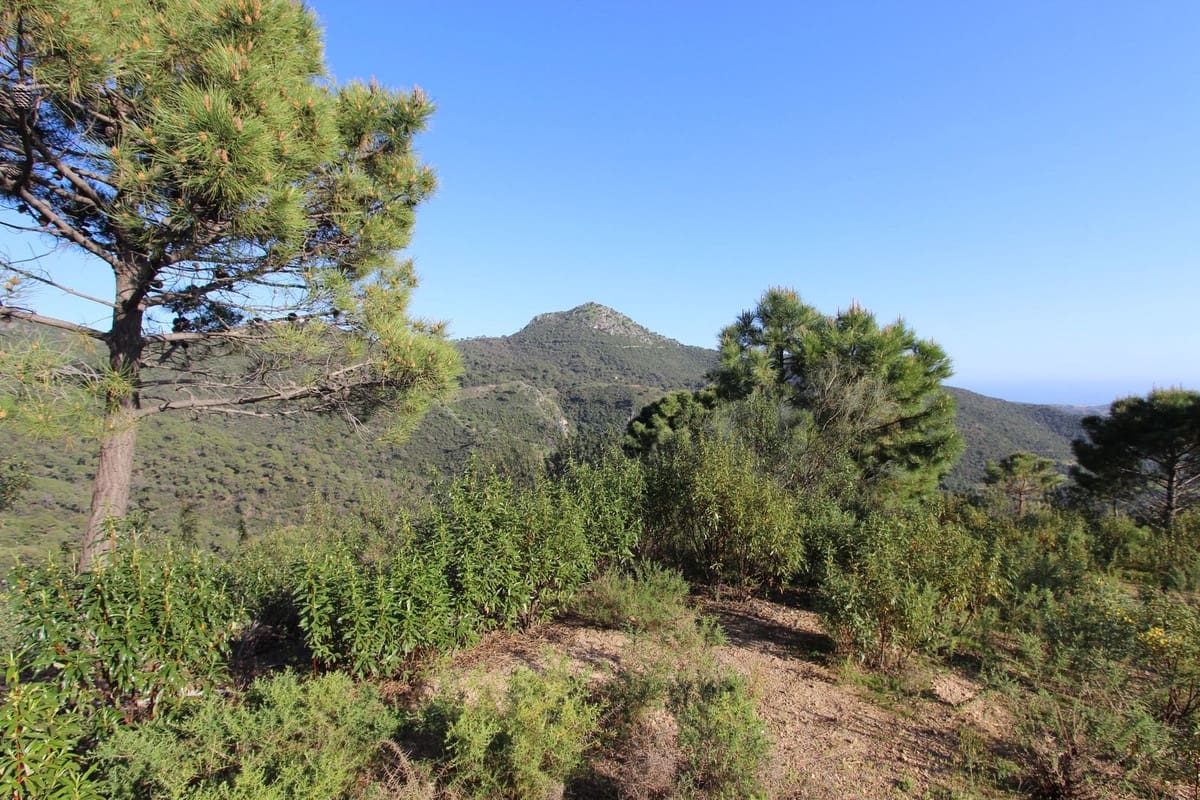 Bouwgrond te koop in Benahavis - € 750.000 (Ref: 9684357)