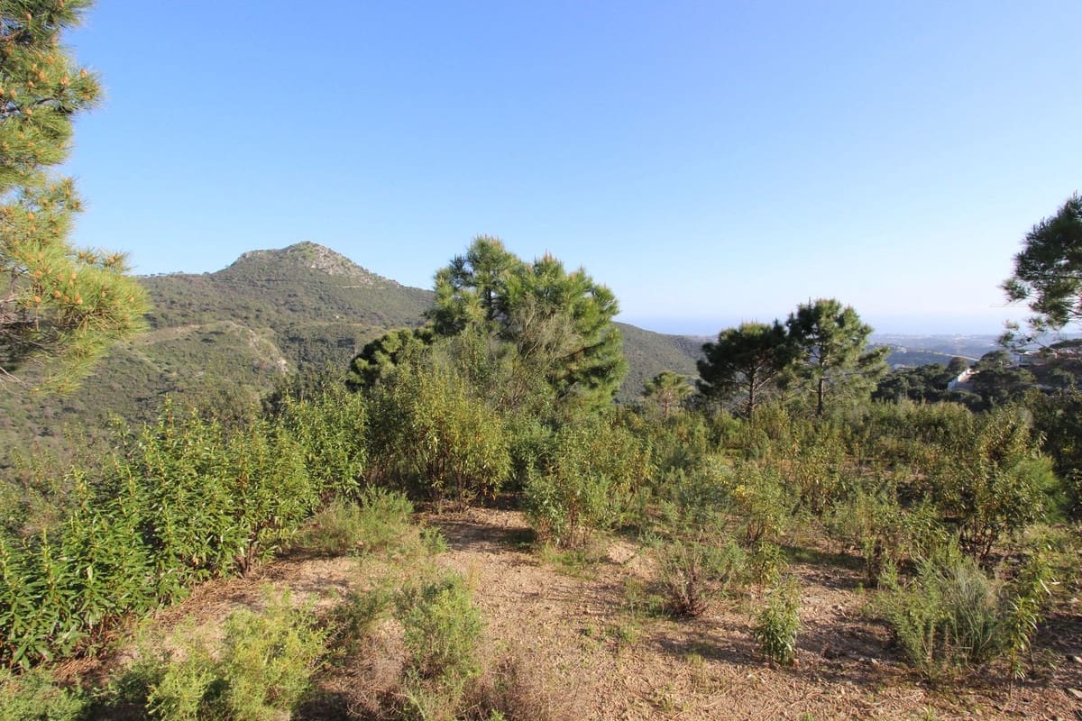Building Plot for sale in Benahavis - € 750,000 (Ref: 9684357)